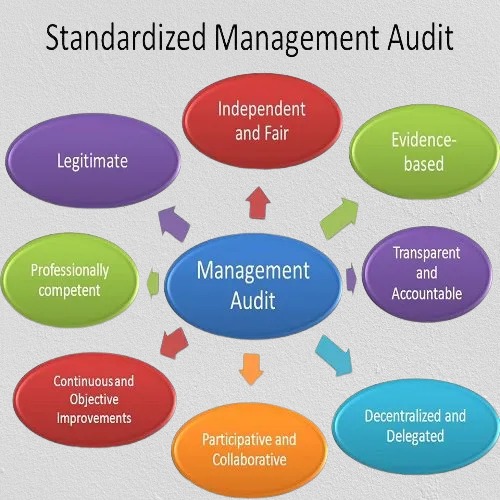 managerial audit delhi